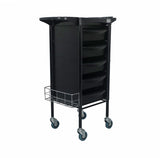 Taro Hairdressing Trolley 03007