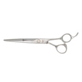 A pair of professional SUS 440c hairdressing scissors with a polished silver finish and convex edge blades.