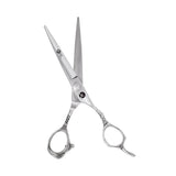 Professional Silver Dragon Hairdressing Scissors