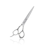 Professional Silver Dragon Hairdressing Scissors