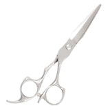 Silver Hairdressing Scissors