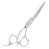 Elegant Silver Hairdressing Scissors