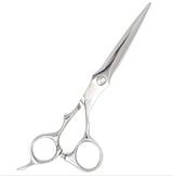 A pair of silver-colored hairdressing scissors with a green crystal on the handle, designed for professional use.