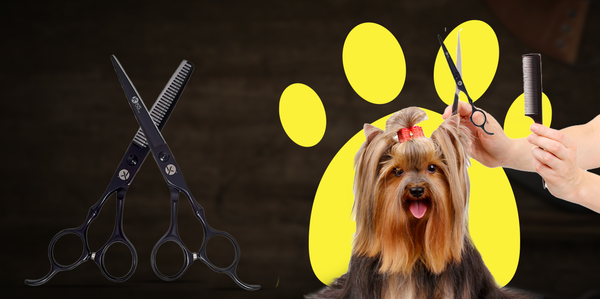 THE ART OF PET GROOMING: HOW THE RIGHT SCISSORS CAN MAKE A DIFFERENCE