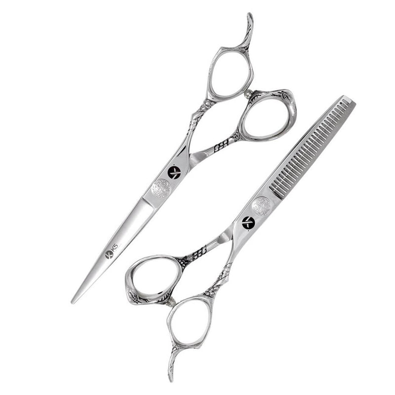 Professional Hairdressing Scissors