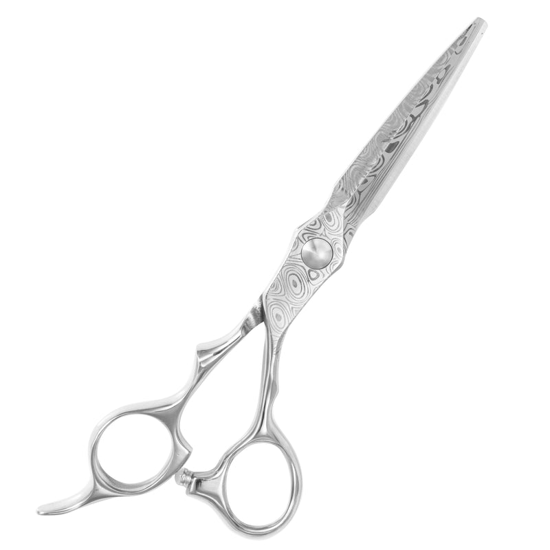 Professional Hairdressing Scissors