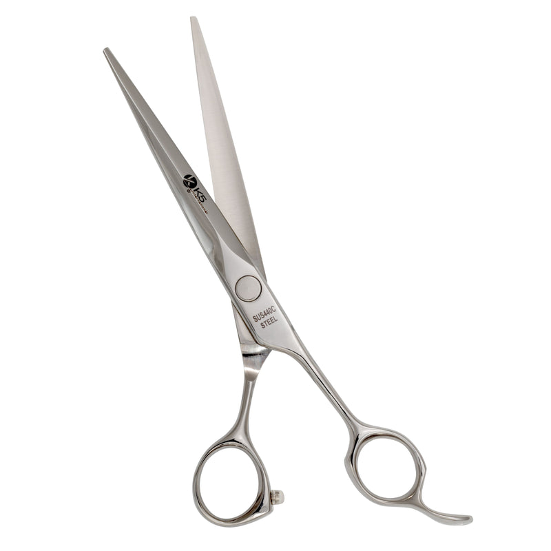 Professional SuS 440c 6.5" Hairdressing Scissors